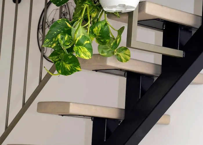 Miria 住宿加早餐酒店 3*